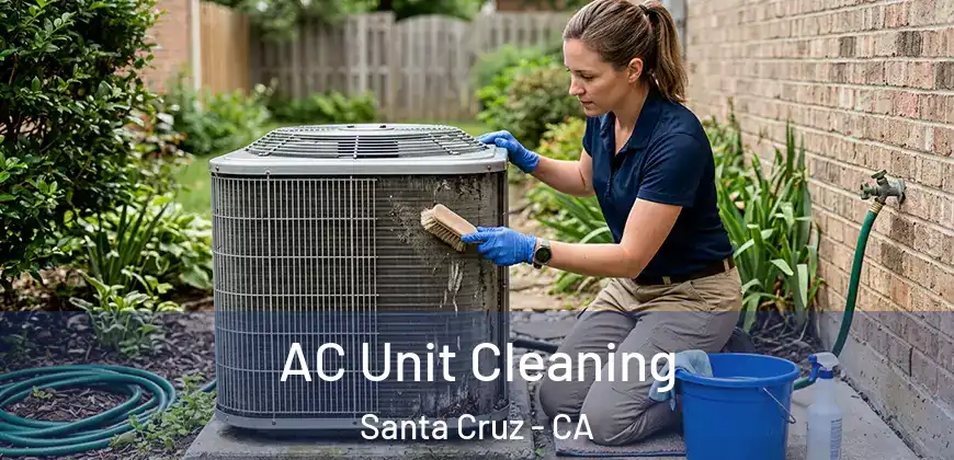 AC Unit Cleaning Santa Cruz - CA